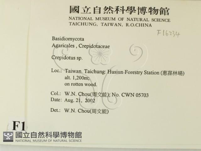 登錄號:F0016234藏品圖，第2張