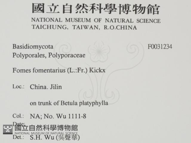 登錄號:F0031234藏品圖，第2張