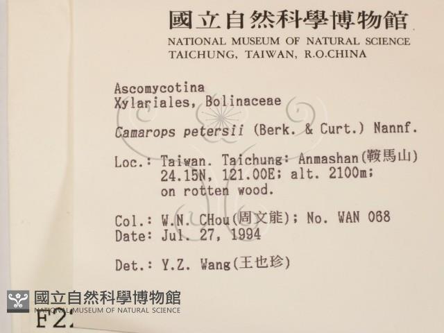 登錄號:F0002234藏品圖，第2張