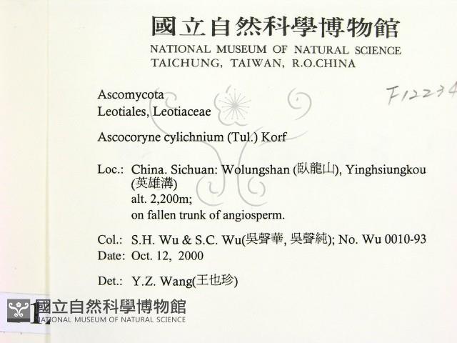 登錄號:F0012234藏品圖，第2張