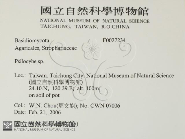 登錄號:F0027234藏品圖，第2張