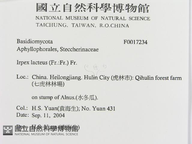 登錄號:F0017234藏品圖，第2張