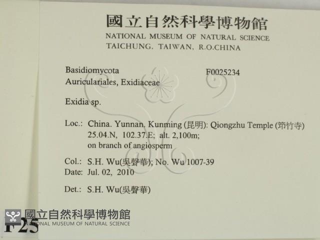 登錄號:F0025234藏品圖，第2張