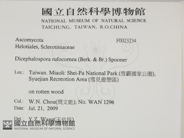 登錄號:F0023234藏品圖，第2張