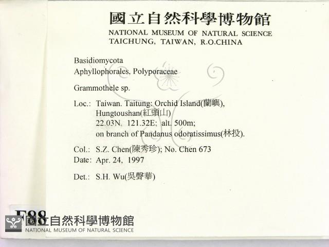 登錄號:F0008834藏品圖，第2張