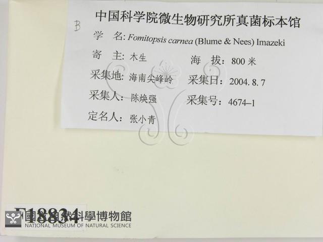 登錄號:F0018834藏品圖，第2張
