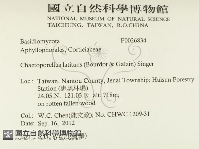登錄號:F0026834藏品圖，第2張