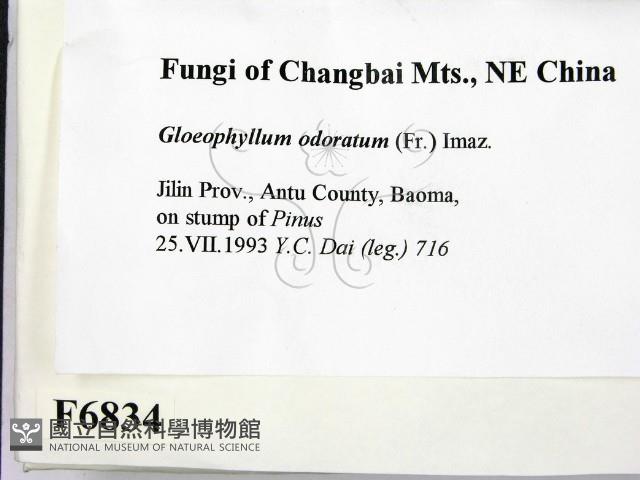 登錄號:F0006834藏品圖，第2張