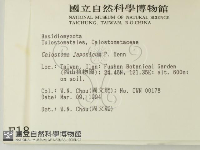 登錄號:F0001834藏品圖，第2張