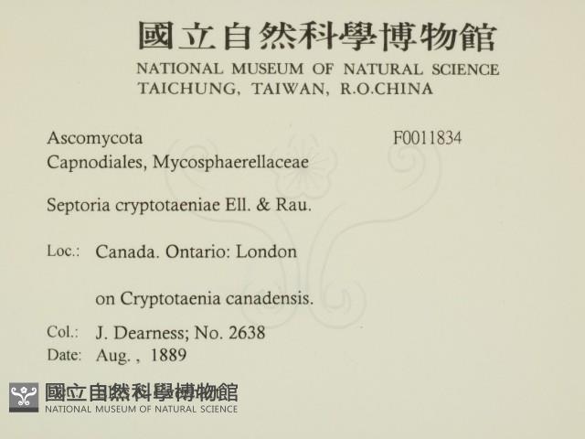 登錄號:F0011834藏品圖，第2張