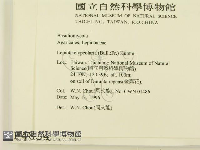 登錄號:F0004834藏品圖，第2張