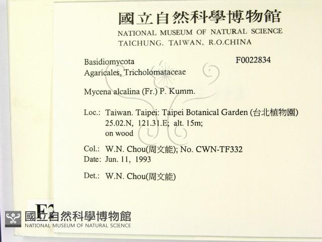 登錄號:F0022834藏品圖，第2張