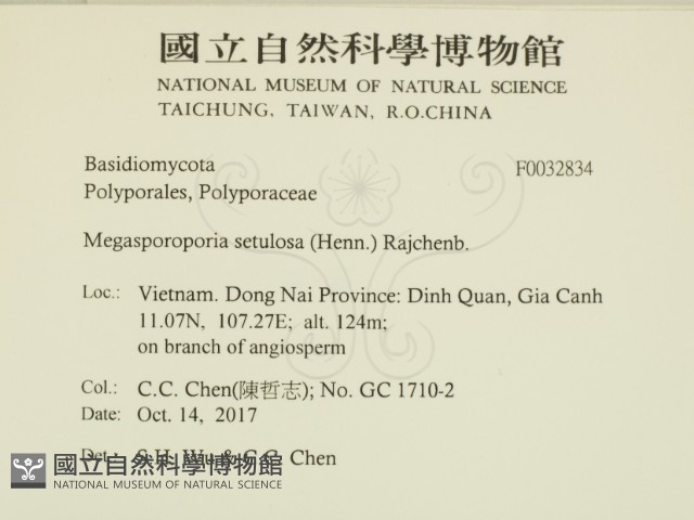 登錄號:F0032834藏品圖，第2張