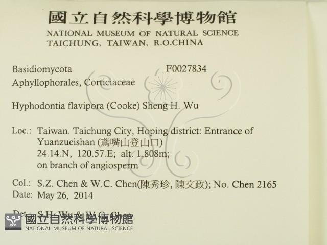 登錄號:F0027834藏品圖，第2張