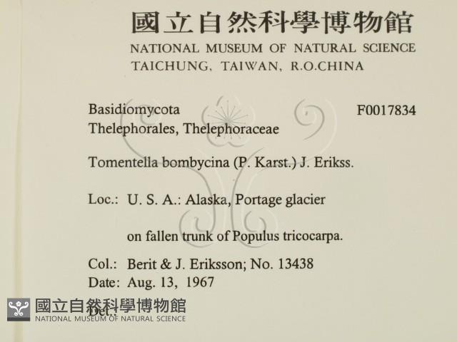 登錄號:F0017834藏品圖，第2張