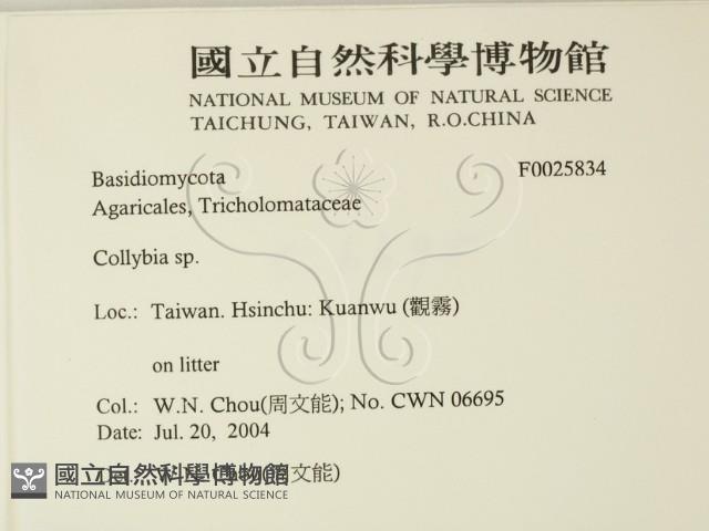 登錄號:F0025834藏品圖，第2張