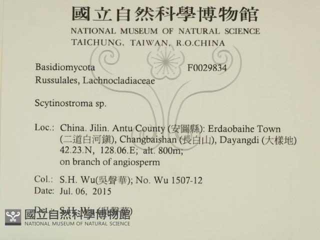 登錄號:F0029834藏品圖，第2張