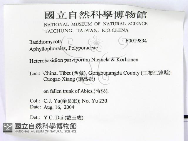 登錄號:F0019834藏品圖，第2張