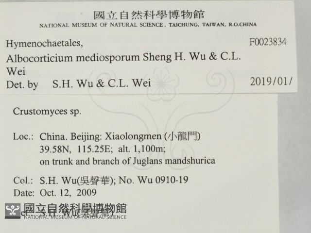 登錄號:F0023834藏品圖，第2張