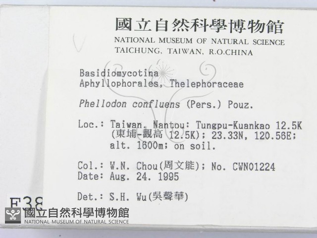 登錄號:F0003834藏品圖，第2張