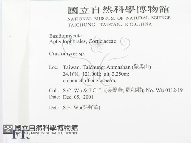 登錄號:F0013834藏品圖，第2張