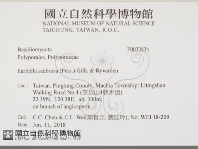 登錄號:F0033834藏品圖，第2張