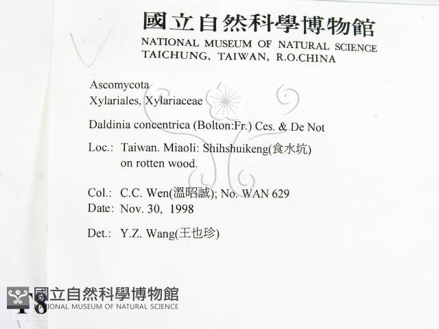 登錄號:F0008934藏品圖，第2張