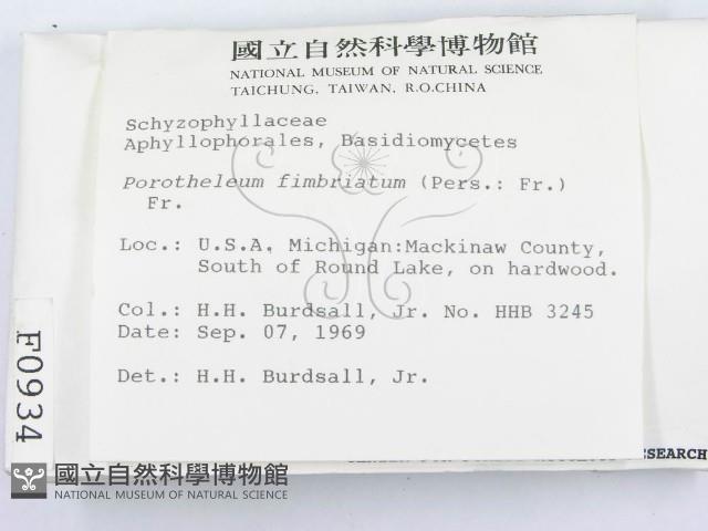 登錄號:F0000934藏品圖，第2張