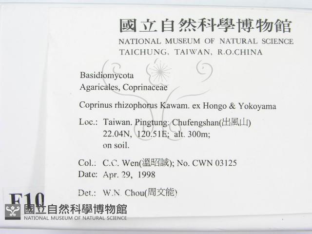 登錄號:F0010934藏品圖，第2張