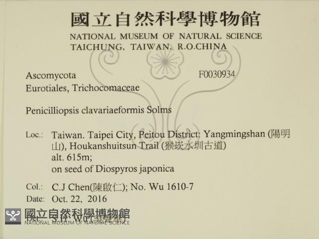 登錄號:F0030934藏品圖，第2張