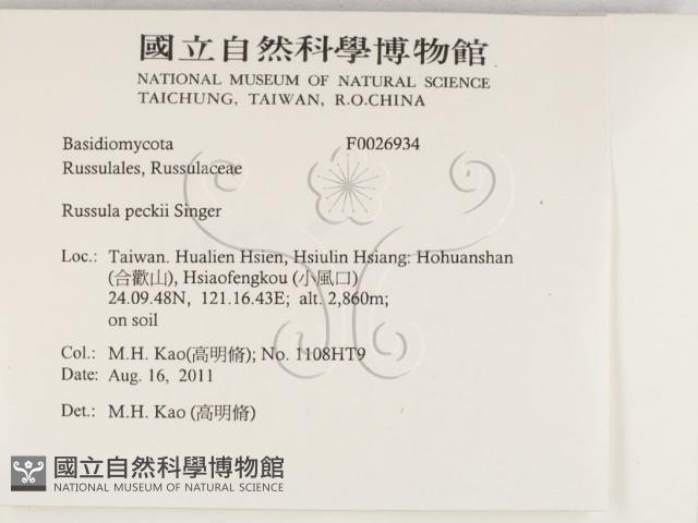 登錄號:F0026934藏品圖，第2張