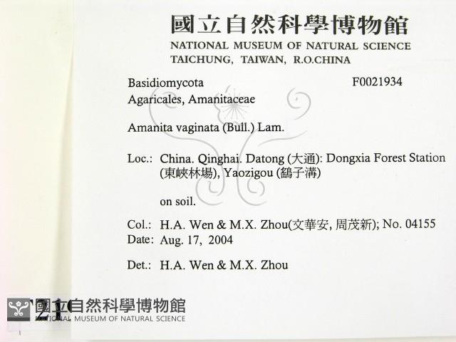 登錄號:F0021934藏品圖，第2張