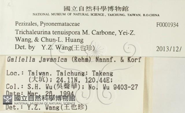 登錄號:F0001934藏品圖，第2張