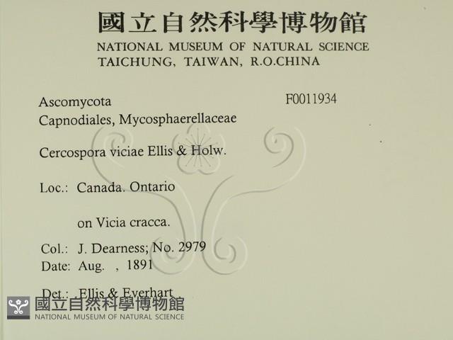 登錄號:F0011934藏品圖，第2張