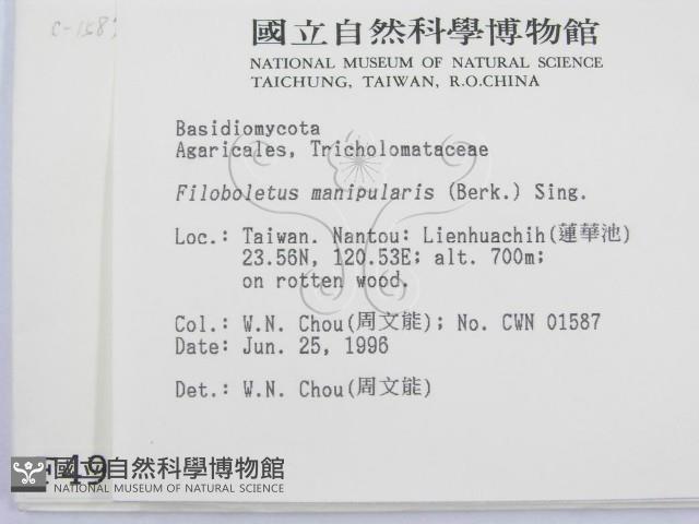 登錄號:F0004934藏品圖，第2張