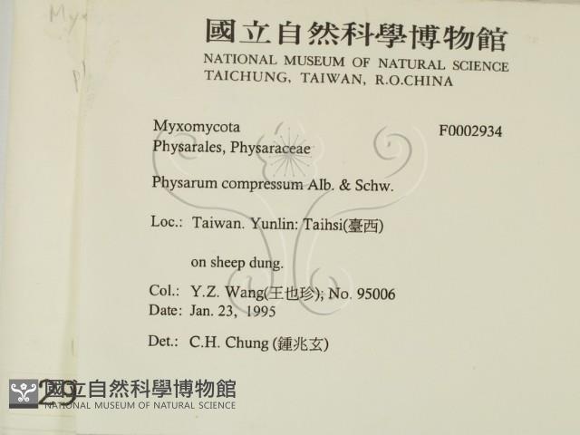 登錄號:F0002934藏品圖，第2張