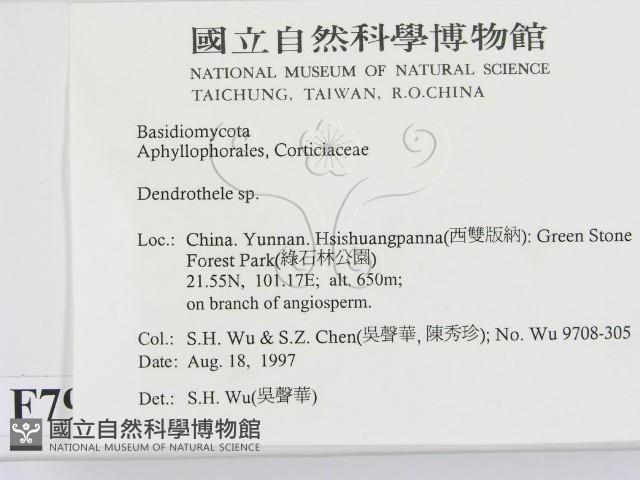 登錄號:F0007934藏品圖，第2張