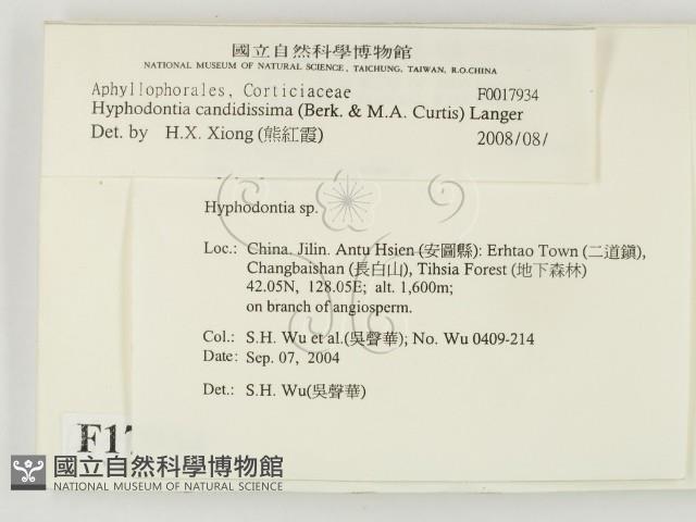 登錄號:F0017934藏品圖，第2張