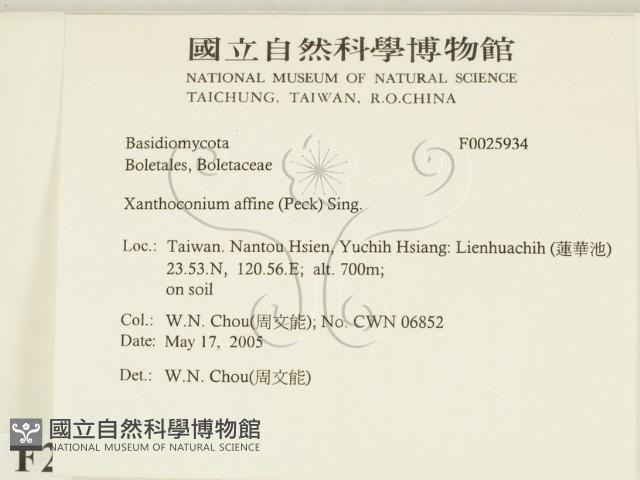 登錄號:F0025934藏品圖，第2張