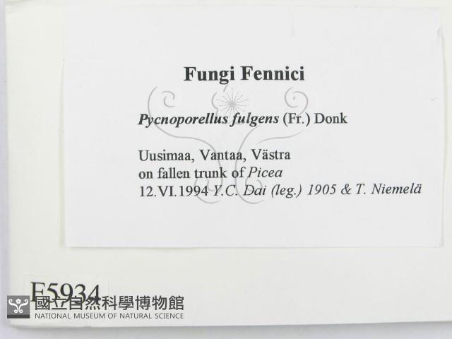 登錄號:F0005934藏品圖，第2張