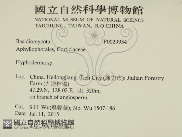 絲皮菌屬藏品圖，第2張