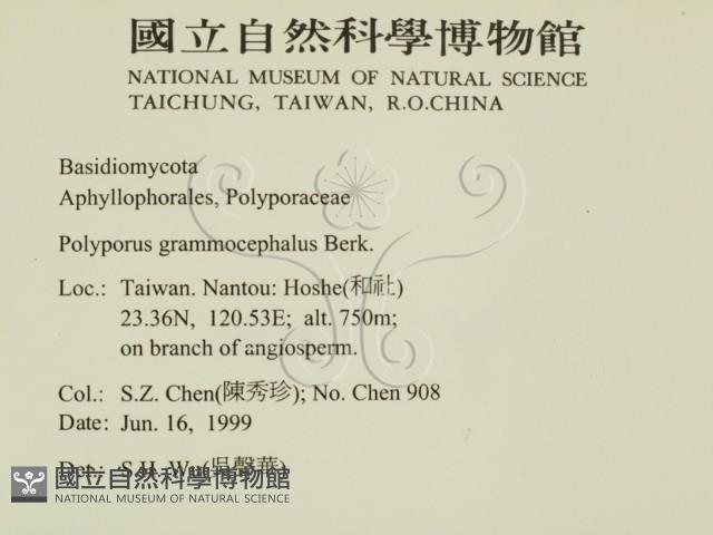 登錄號:F0009934藏品圖，第2張