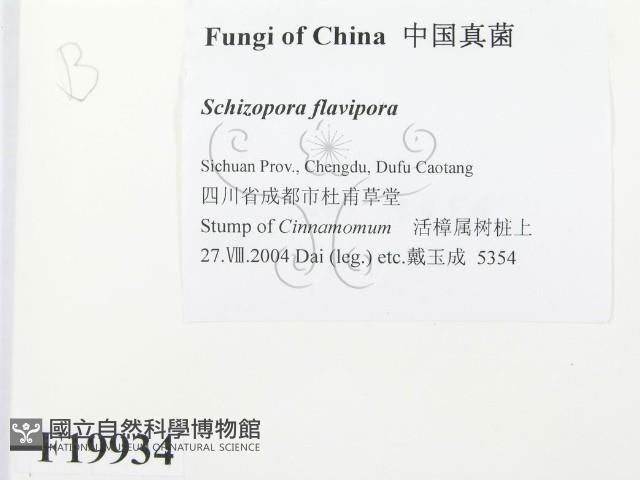 館號:F0019934藏品圖，第2張