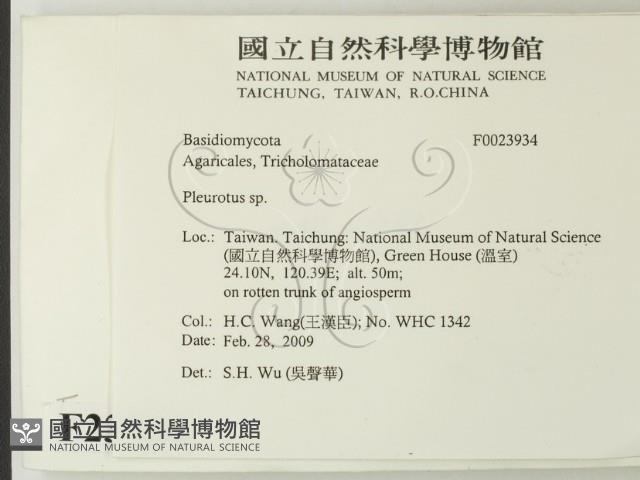 登錄號:F0023934藏品圖，第2張