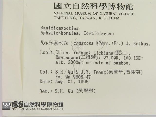 登錄號:F0003934藏品圖，第2張