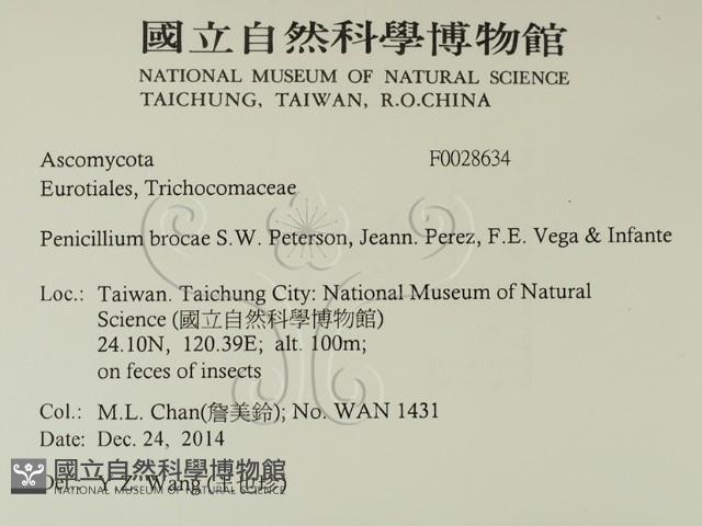 登錄號:F0028634藏品圖，第2張