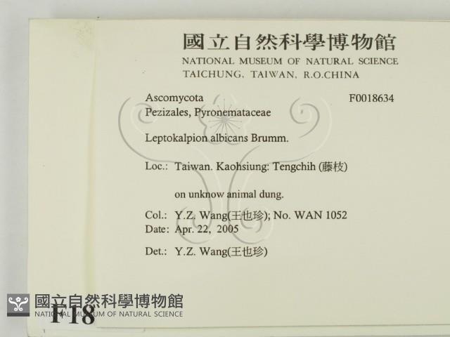 登錄號:F0018634藏品圖，第2張