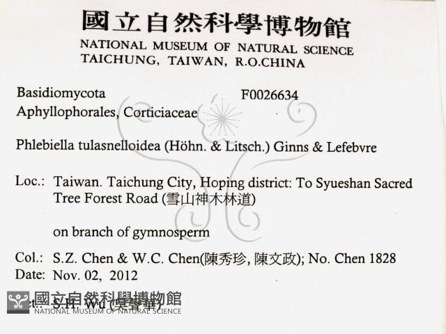 登錄號:F0026634藏品圖，第2張