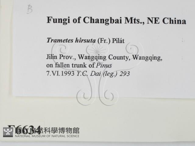 登錄號:F0006634藏品圖，第2張