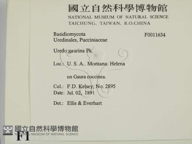 登錄號:F0011634藏品圖，第2張